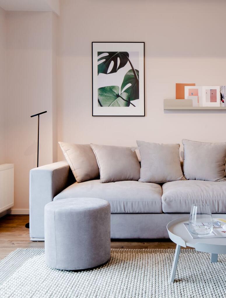 LY30 Assets One Bedroom plus Living room with couch